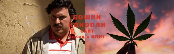 спайс Баксан