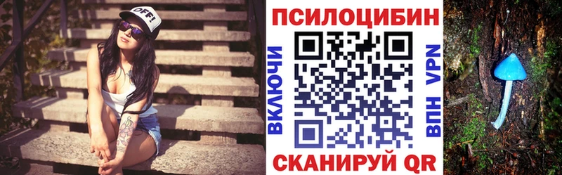 Галлюциногенные грибы мицелий  где продают   Рудня 